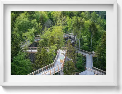 Produktbild von Ein Weg in Krynica Zdrój– Wandbild mit Rahmen – Gerahmtes Bild  – Wanddekoration – 70x50 cm –  Schwarz Rahmen