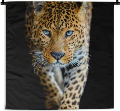 Produktbild von MuchoWow® Wandteppich Wandbehang Leopard - Tiere - Porträt - Wildtiere - Schwarz 120x120 cm Tapisserie Dekoration Wandtuch - Modern - Baumwollgewebe