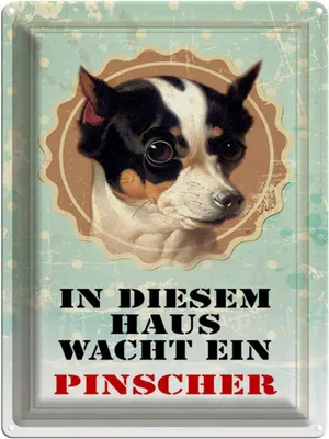 Produktbild von vianmo Blechschild 40x30 cm Hund in diesem Haus wacht Pinscher