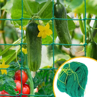 Produktbild von Kletterpflanzennetz - 1,8 x 2,7 m - Gurkennetz für Rankpflanzen - 10 x 10 cm Maschenweite - Wetterfestes Ranknetz - Für Gurken, Tomaten und Gemüse