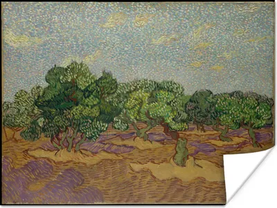 Produktbild von MuchoWow® Poster Olivenbäume - Vincent van Gogh 160x120 cm - Foto Plakat