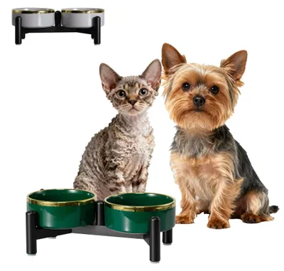 Immagine prodotto di Ciotola per cani in Vetroceramica rialzata con supporto, per cibo e acqua - 300 ml/160 g, verde