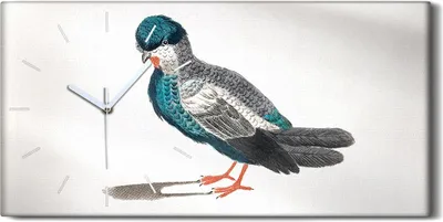 Produktbild von Wohnzimmer-Bild Leinwand Uhr Geräuschlos 60x30 Zeichnung Tier Vogel Kunst - weiße Hände