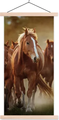 Produktbild von MuchoWow® Textilposter Pferde - Licht - Natur 60x120 cm mit holzfarbenen Rahmen - Holz