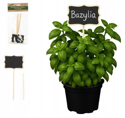 Produktbild von Gardenline Set Mit 6 Holzpflanzenetiketten 8X17Cm Eda4533