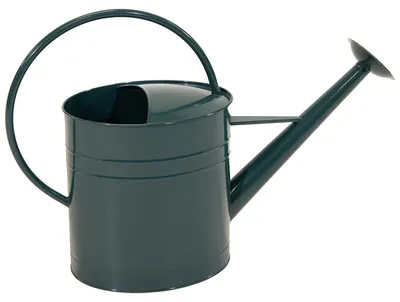 Produktbild von Mega Collections Gieskanne Retro - Metall - grun - 9 Liter - 58 x 40 cm