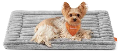 Produktbild von Feandrea Hundedecke für Hunde, Katzen, M, 75 x 50 cm, maschinenwaschbar – Größe M (75 x 50 cm)