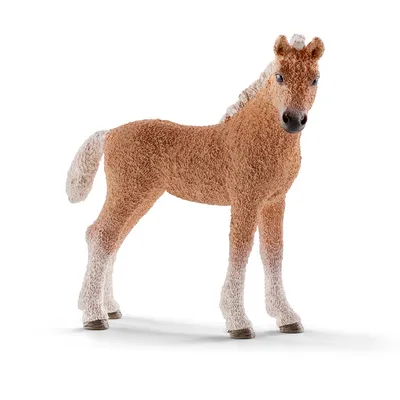Produktbild von Schleich 13781 - Bashkir Curly Fohlen, Tier Spielfigur