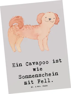 Produktbild von Mr. & Mrs. Panda Postkarte Cavapoo Sonnenschein - Grau Pastell - Geschenk, kinderfreundlicher Hund, Ansichtskarte, Hunderasse, Hunderassen Eigenschaften, Mischlingshund
