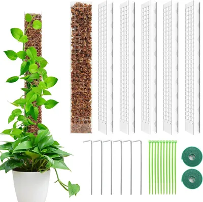 Obrázok produktu pre Opora pre rastliny 61 cm, 6 kusov, plast, pre popínavé rastliny