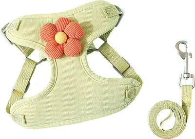Image de Harnais et laisse pour chien avec pendentif à fleurs, ceinture de sécurité pour chiens et chats pour la voiture, harnais pour voiture (vert clair, XL)