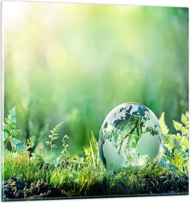 Produktbild von Bilder auf glas - natur natur - 60x60cm - Glasbilder - Wandbilder - Bilder - Kunstdruck - zum Aufhängen bereit - Wanddekoration aus Glas - Glas Bilder - Wandbild auf Glas - Einteilig - GAC60x60-4041