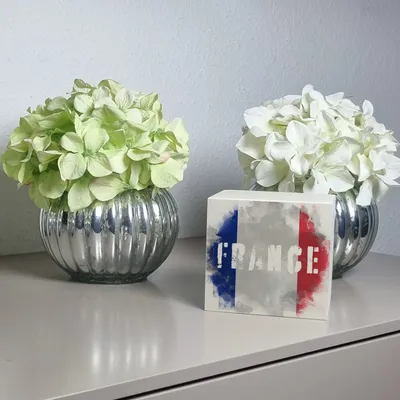 Produktbild von Spardose aus Holz mit Frankreich-Flagge im Used Look - Sparschwein für Urlauber