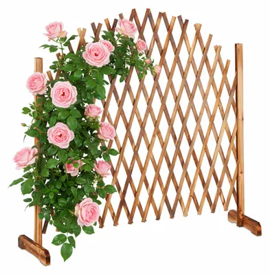 Image de Treillis en bois Relaxdays, extensible jusqu'à 200 cm, support pour plantes grimpantes, autoportant, jardin, balcon, terrasse, couleur naturelle
