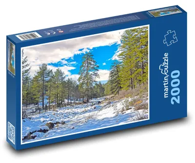 Obrázek produktu pro Puzzle 2000 Les v zimě - stromy, sníh - martinpuzzle
