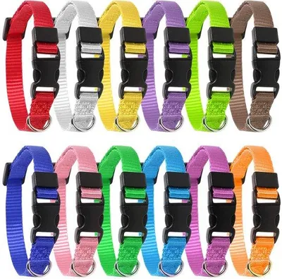 Produktbild von Ibenzoa® Verstellbare Sicherheits-ID-Halsbänder für Welpen, kleine Hunde & Katzen – Nylon, 12er-Set, verstellbar 17–26 cm, 1 cm breit, mehrfarbig