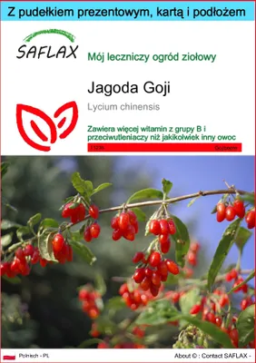 Zdjęcie produktu dla SAFLAX - Zestaw prezentowy - Jagoda Goji - 200 Nasiona - Z pudełkiem upominkowym, etykietą wysyłkową, kartą podarunkową i podłożem uprawowym - Lycium chinensis