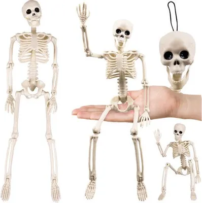 Image de Décoration squelette d'Halloween, 40 cm, membres articulés