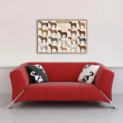 Immagine prodotto di Didattica - Educazione - Poster - Cavalli + 1 poster in formato 61x91,5cm