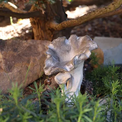 Produktbild von Pilz Skulptur aus Steinguss für Garten Dekoration