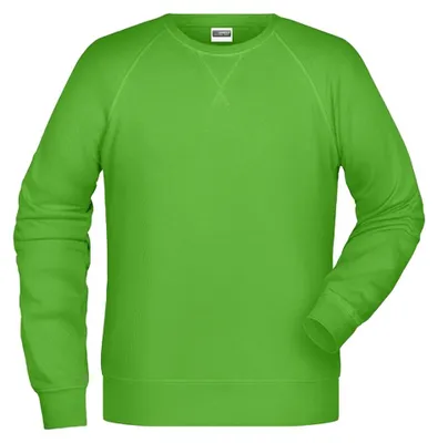 Produktbild von James and Nicholson - Sweatshirt für Herren LT2494 (XXL) (Limone)