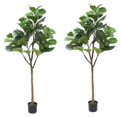 Produktbild von Künstliche Geigenfeige im Topf - Standbaum 2er-Set - Bodenstehend - PVC - Größe 4XL - Outdoor - Olive