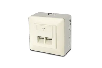 Image de Prise en saillie DIGITUS Cat.5e, classe D, 2 x RJ45, blindée