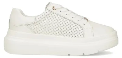 Image de Chaussures Filippo DP673125WH
