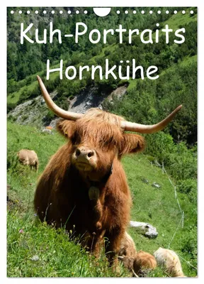Produktbild von Kuhportraits Hornkühe (Wandkalender 2027 DIN A4 hoch), CALVENDO Monatskalender