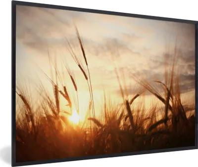 Produktbild von MuchoWow® Gerahmtes Poster Schilf - Gras - Sonnenuntergang - Natur - Horizont 90x60 cm - Poster mit Schwarzem Bilderrahmen Wandposter Rahmen Foto Bilder - Fotorahmen - Foto-Plakat