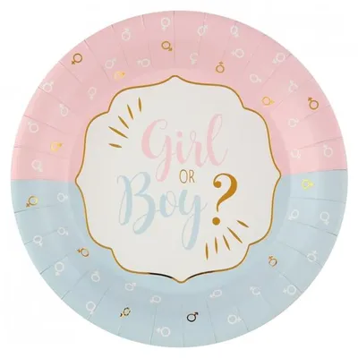 A round paper plate for a baby gender reveal party, with pink on the top half and blue on the bottom half, featuring the text 'Girl OR Boy?' in the center.