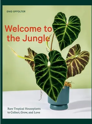 Produktbild von Welcome to the Jungle