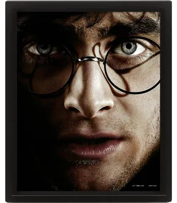 Produktbild von Harry Potter – Harry gegen Voldemort – 3D-Linsenposter 26 x 20 cm