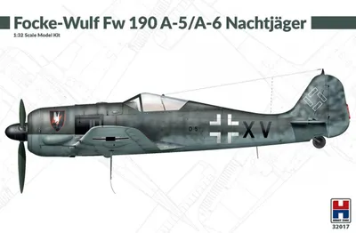 Obrázok produktu pre Hobby 2000 H2K32017 Focke-Wulf Fw 190 A-5 / A-6 Nočný stíhač