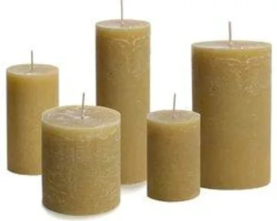 Cactula Stumpenkerzen-Set – Honey – 5 Stück