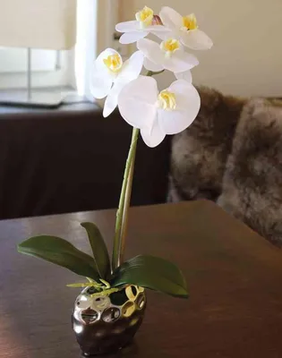 Produktbild von artplants.de Phalaenopsis künstlich Emilia, Keramiktopf, weiß, 45cm - Kunst Orchidee im Topf - Orchidee Textil