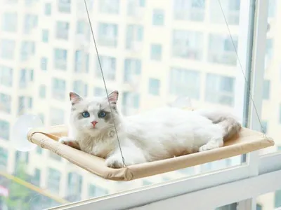 Produktbild von Beige Hängendes Katzenbett – Komfortabel, Stylish Und Sicher Für Ihre Katze