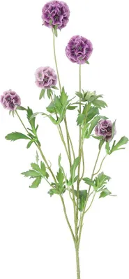 Produktbild von Kunstblume Combretocarpus violett Countryfield