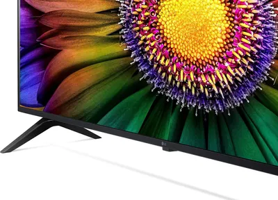 The bottom corner of a black television screen displaying a colorful image of a flower, with its black stand visible.
