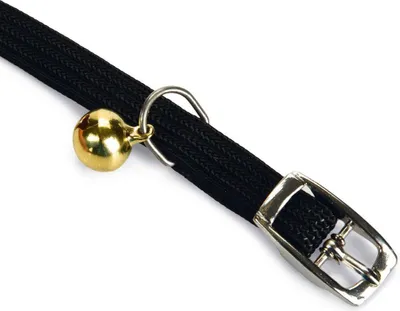 Image de Beeztees - Collier pour chat - nylon - noir - 30x1x0,01 cm