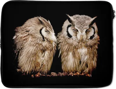 Produktbild von MuchoWow® Laptop Hülle 17 Zoll Laptoptasche Eule - Vogel - Schwarz - Zipper - Schutzabdeckung
