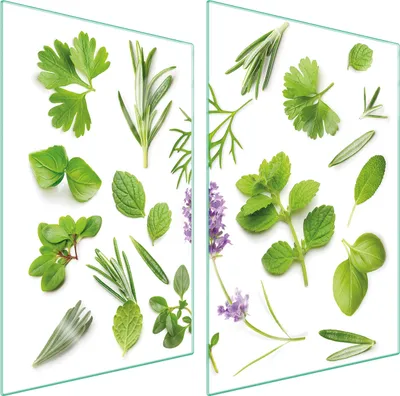 Produktbild von Herdabdeckplatten 2 teilig 35x52 Glaskeramikkochfeld Abdeckung Glas Schneidebrett Gewürze Grün