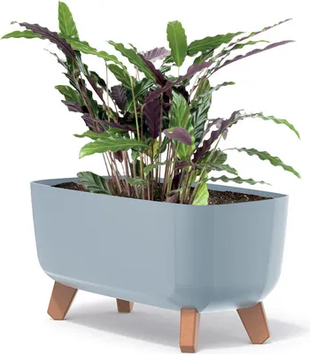 Produktbild von Gracia Case DGCL400 Blumentopf - Hellgrau