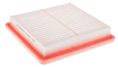 Obrázok produktu pre EBG Vzduchový filter motora Nissan 165463VD0A