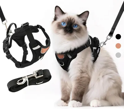 Produktbild von Katzengeschirr mit Leine, Größe S, schwarz, atmungsaktives Mesh, für Spaziergang