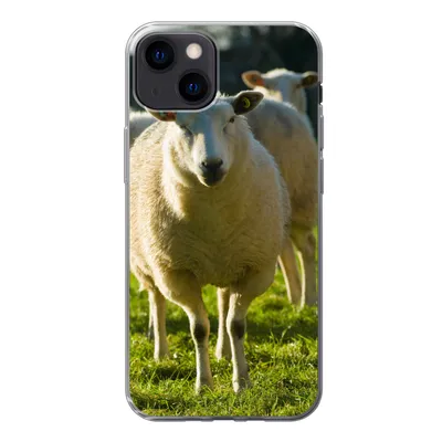 Produktbild von MuchoWow® Handyhülle Schutzhülle Hülle für iPhone 13 Schafe - Tiere - Wolle Silikon Softcase Handy Hülle - Karteninhaber