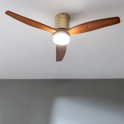Image de CECOTEC A01_EU01_122148 - EnergySilence Aero 5600 Classic Gold&DarkWood