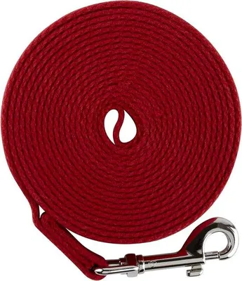 Image de Laisse d'entraînement pour chien - Nylon - 9 mètres