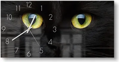 Produktbild von DEQORI Glasuhr 60x30 cm Zahlen 'Gesicht eines Kätzchens' Wanduhr Glas Uhr Design leise