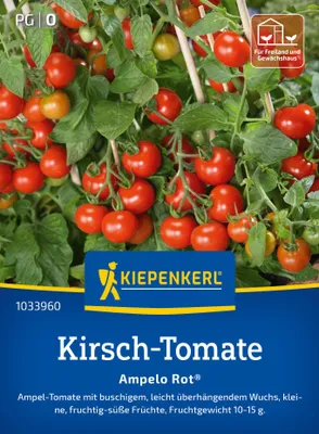 Artikelbild 2 von 'Kirsch-Tomate Ampelo Rot F1' aus der Kategorie Kirschtomatensamen